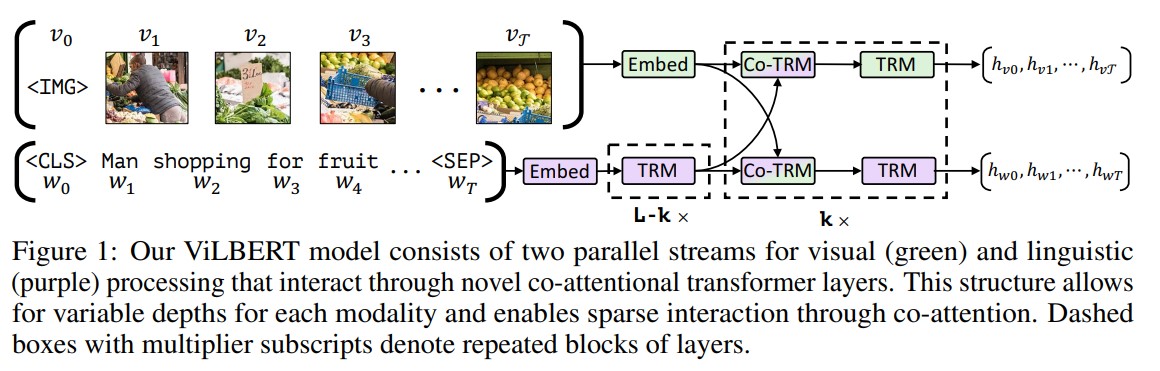 model architecture